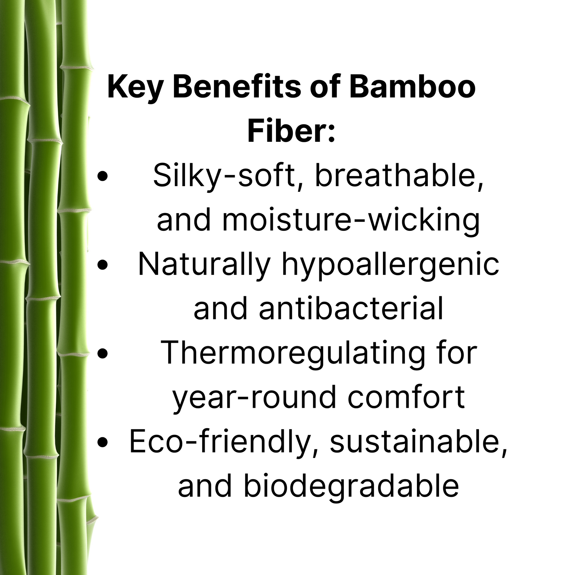 List of key benefits of bamboo fiber with a bamboo stalk on the left.