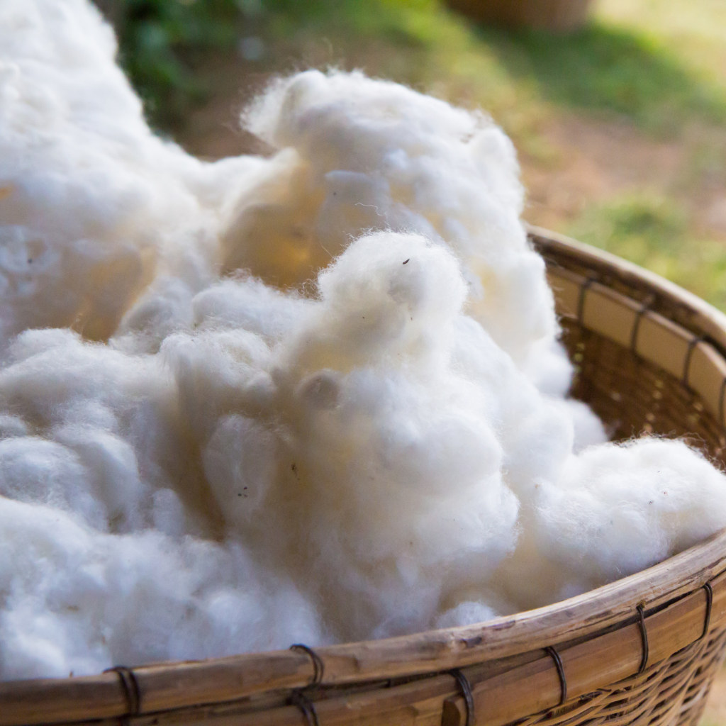 White cotton fibers in a woven basket with a blurred natural background