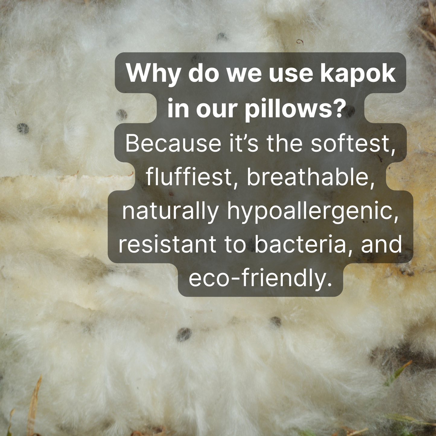 White natural kapok fiber