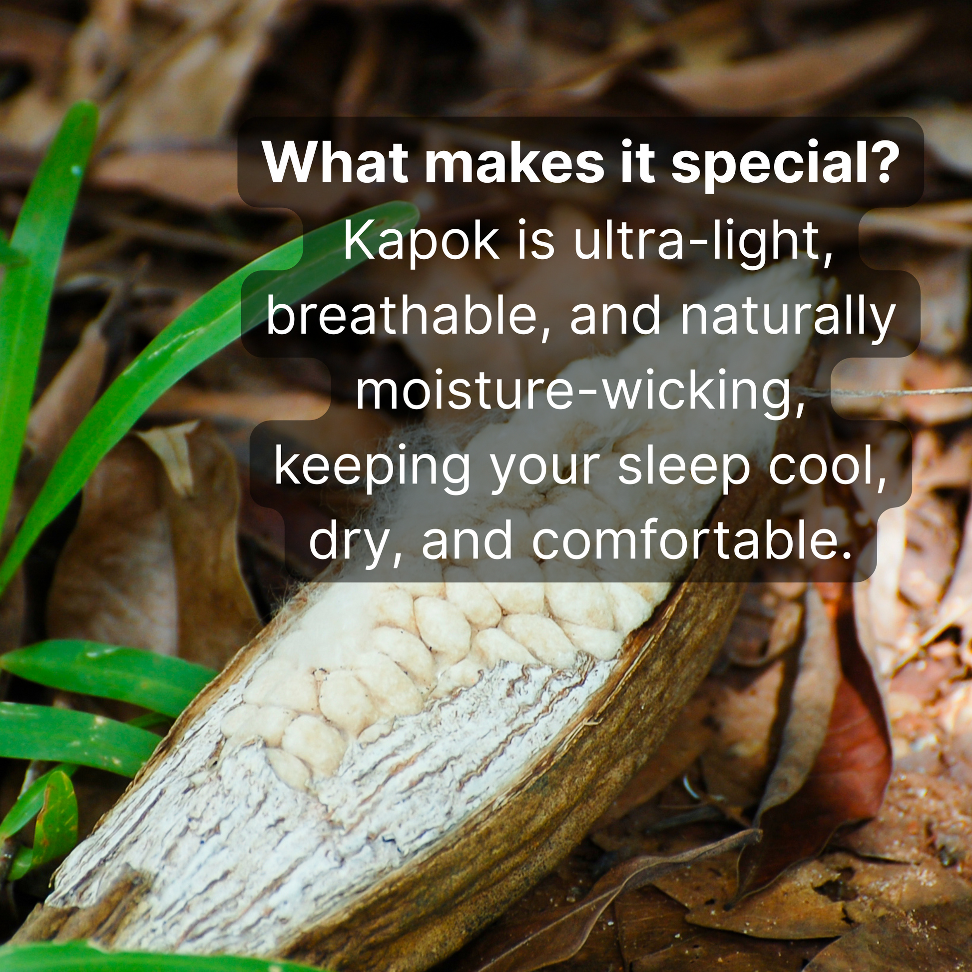 Kapok fiber with text explaining its properties on a natural background